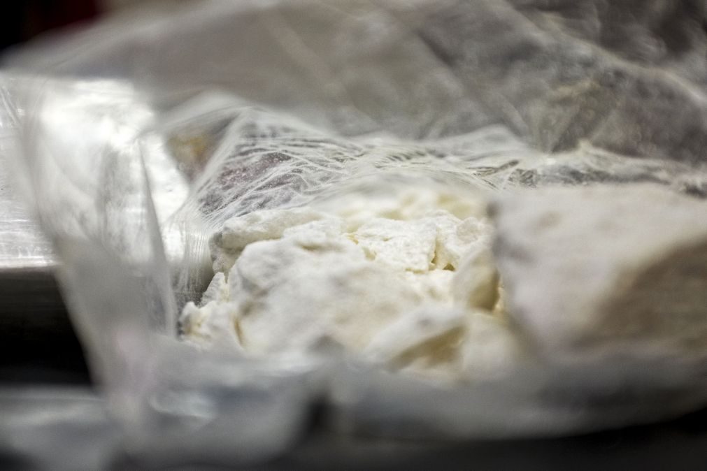 Brasil apreende mais de 1,5 toneladas de açaí com cocaína diluída destinadas a Portugal