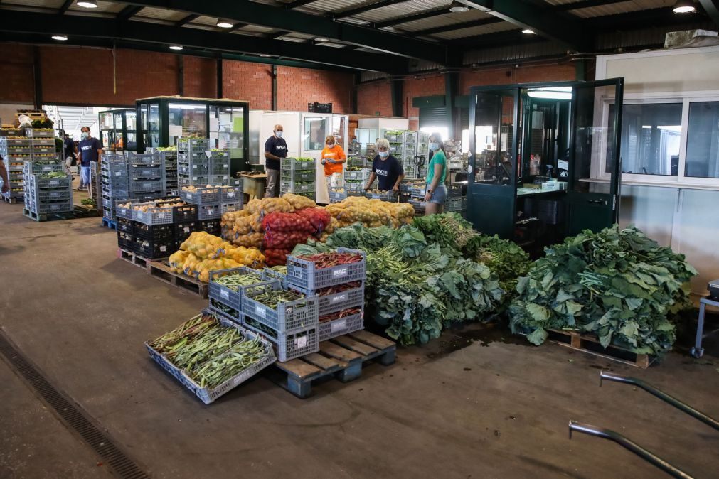 Covid-19: Mercados abastecedores continuam em atividade no estado de emergência