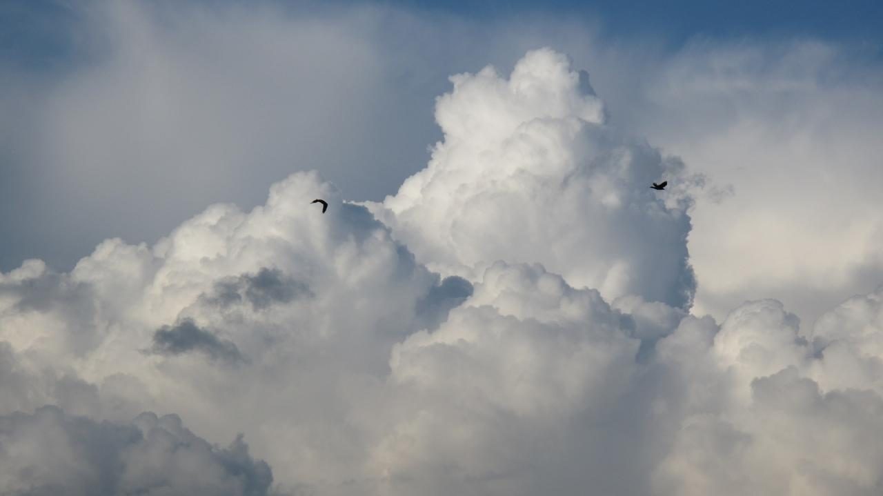 Meteorologia: Previsão do tempo para sábado, 23 de janeiro