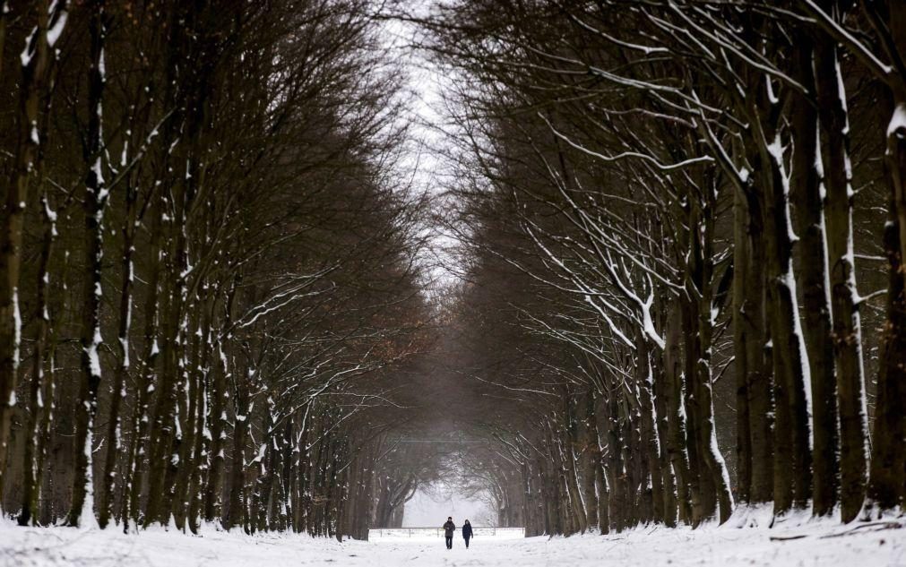 Países Baixos com primeira tempestade de neve em 10 anos