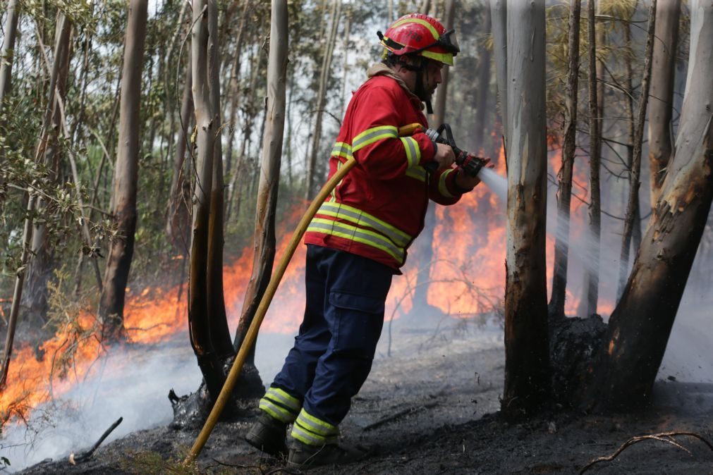 Mais de 2.400 bombeiros e 24 aviões combatem incêndios em Pedrógão Grande, Góis e Penela