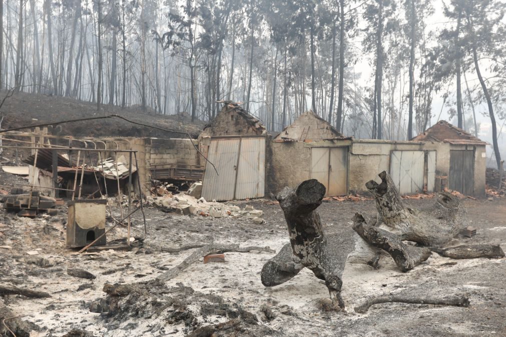 Governo cria fundo financeiro para apoiar reconstrução e vida das pessoas em Pedrógão Grande