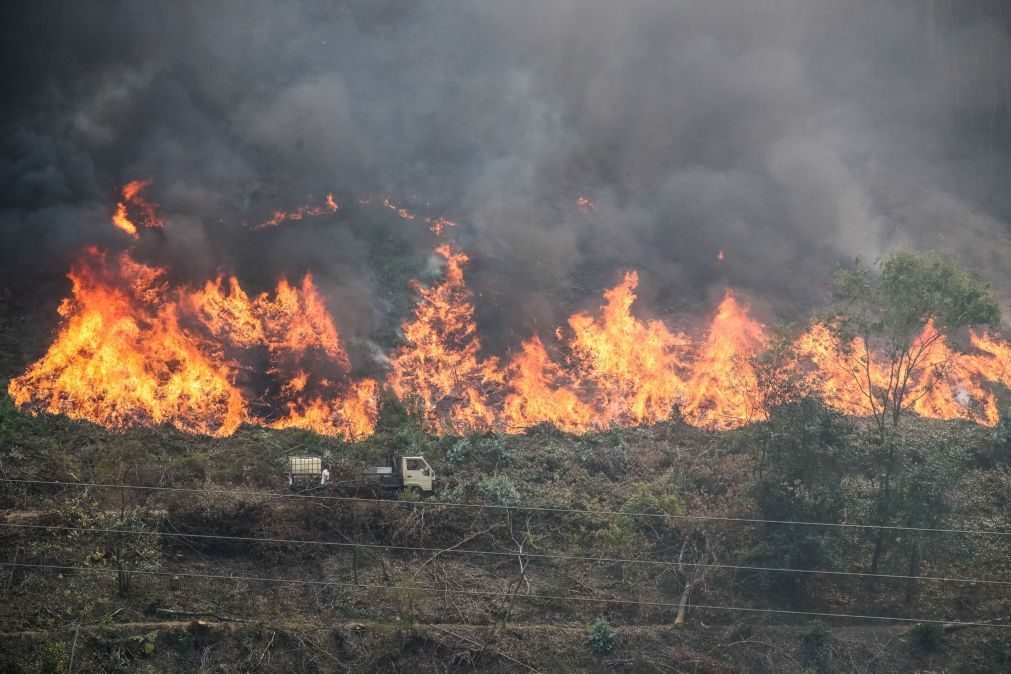 Detidas oito pessoas e 99 identificadas desde o início do ano por incêndio florestal