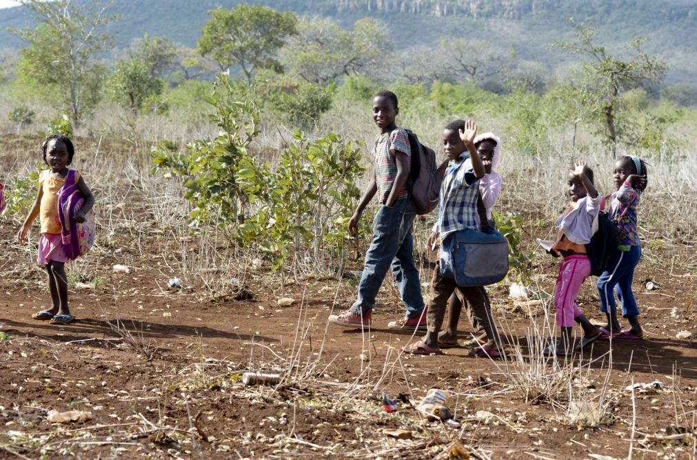 Estudo diz que 26% das crianças que morrem em Moçambique sofrem de desnutrição