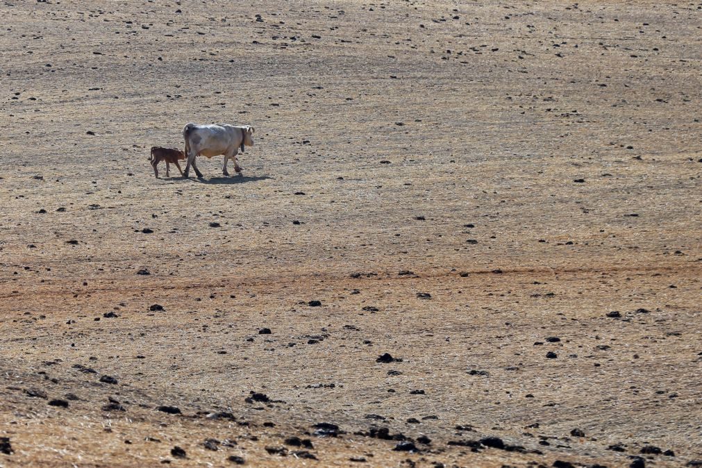 Sul de Portugal com aumento da área em seca meteorológica