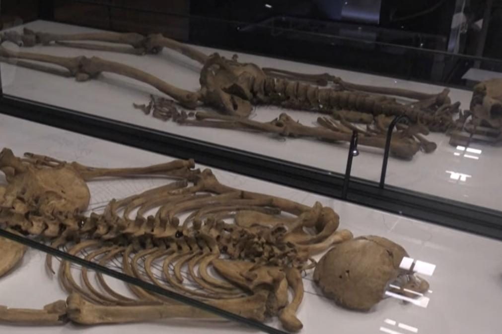 Guerreiros vikings da mesma família reunidos depois de mil anos [vídeo]