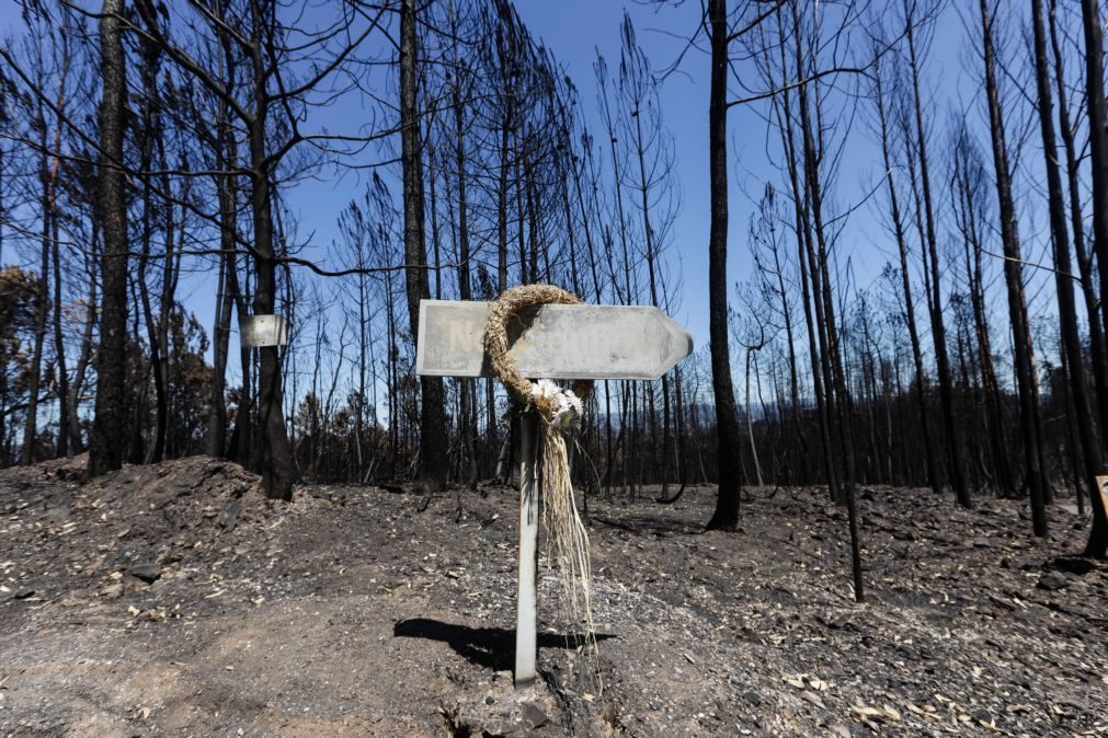 Incêndios: Informação sobre fundo de apoio às áreas afetadas disponível em 'site