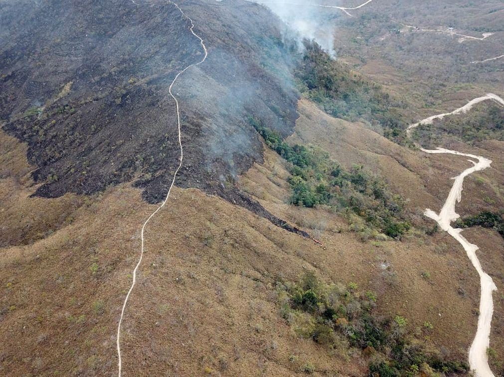 Amazónia regista 8.712 quilómetros quadrados de alertas de desflorestação