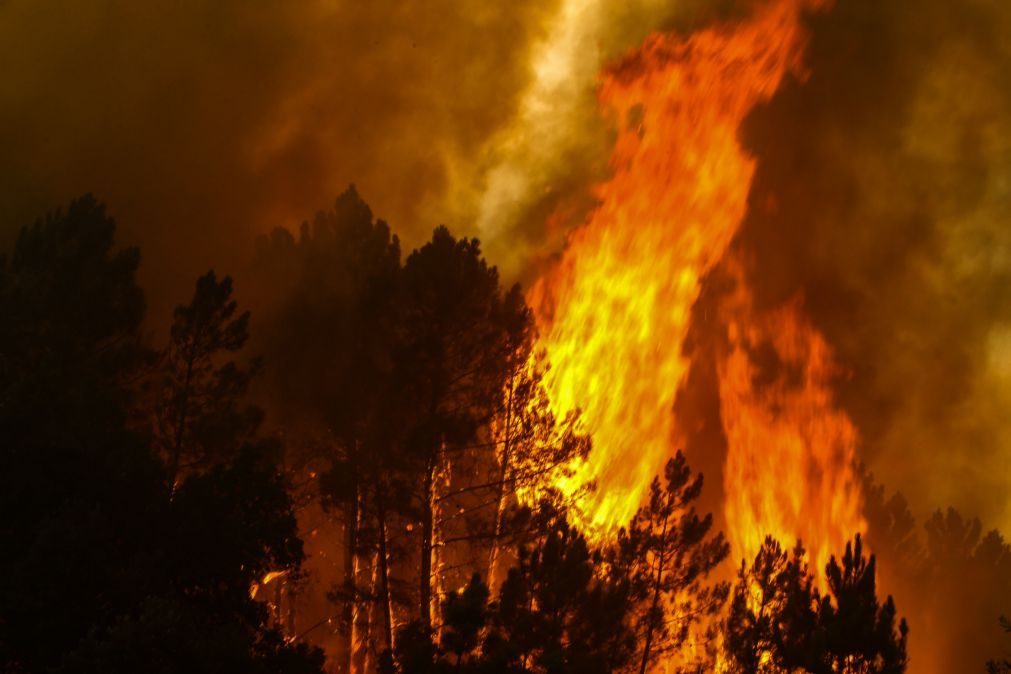 Proteção Civil coloca cinco distritos sob alerta laranja a partir de sábado