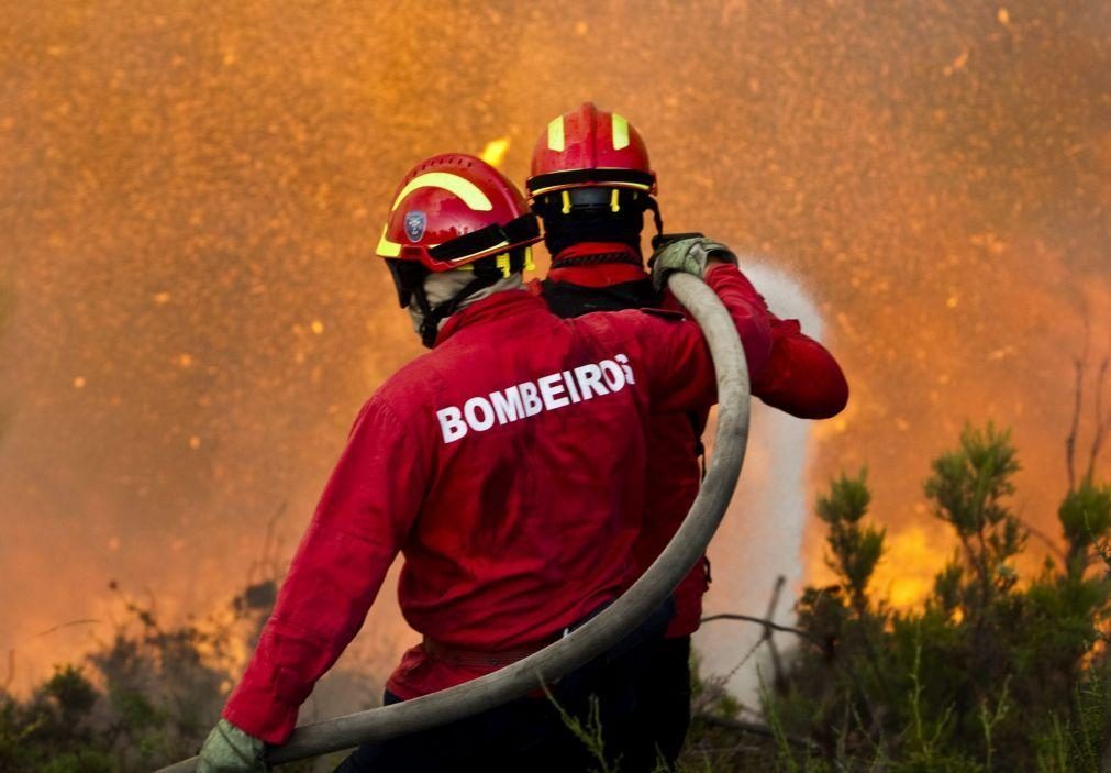 Incêndio em silos de cereais em Beja é combatido por 34 bombeiros