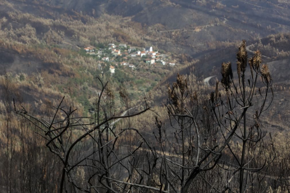 PCP adia potestativamente votação dos diplomas para reforma da floresta para as 15:00