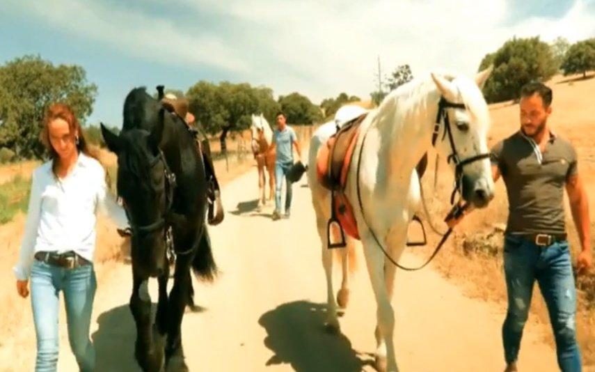 Quem Quer Namorar Com o Agricultor? Pretendentes têm 'bate-boca' aceso: 