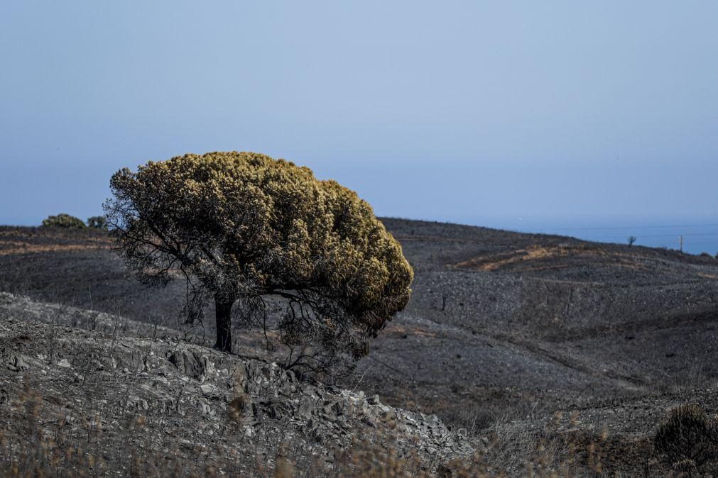 Quase 80 municípios em risco máximo de incêndio