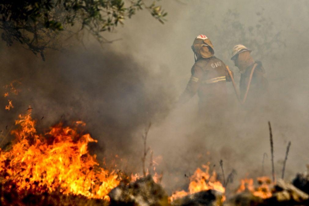 Homem de 64 anos detido por suspeita de atear fogo florestal em Soure