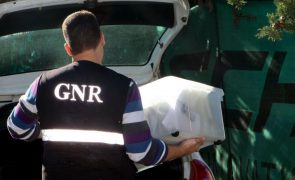 GNR detém dois homens por falsificação de documentos e branqueamento de capitais