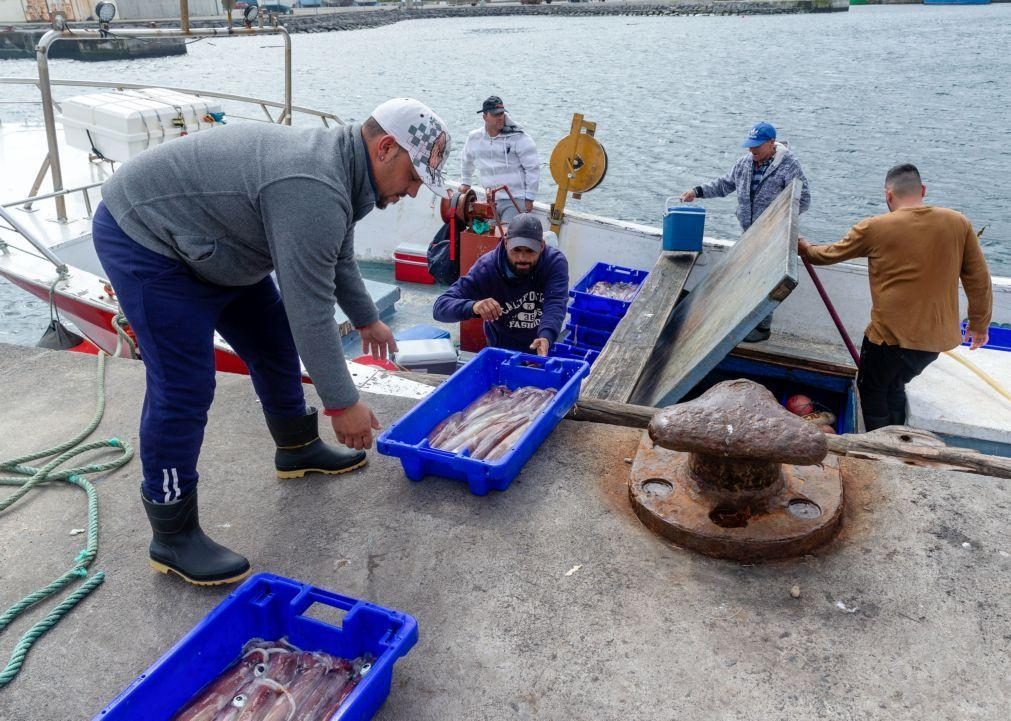 Pescadores açorianos pedem ativação de Fundopesca devido a mau tempo e quebra de descargas