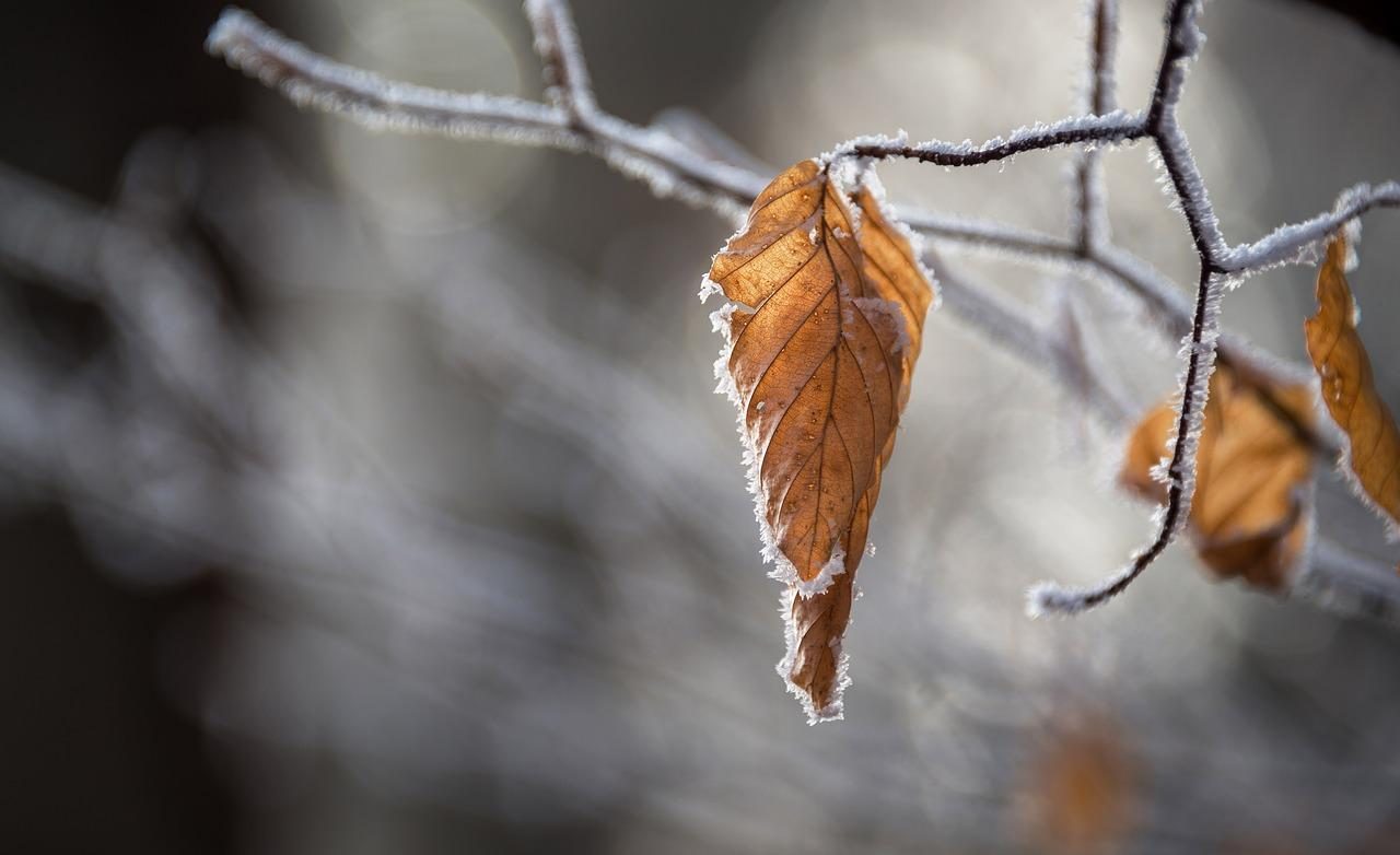 Meteorologia: Previsão do tempo para sexta-feira, 5 de novembro