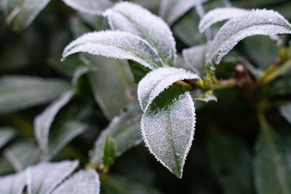 Meteorologia: Previsão do tempo para domingo, 7 de novembro