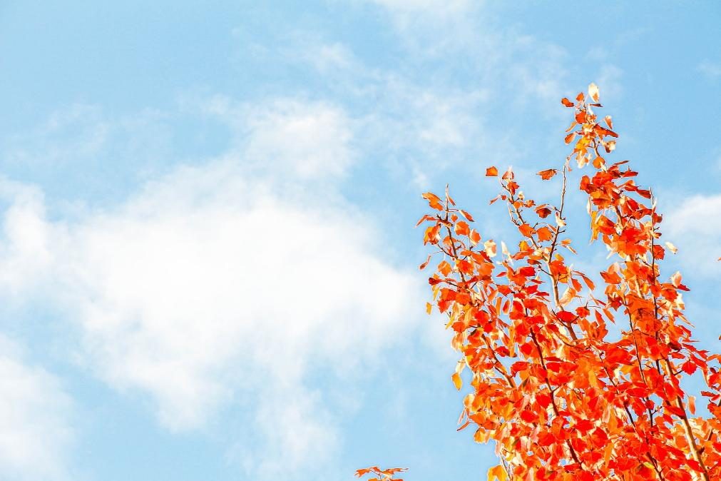 Meteorologia prevê subida de temperatura máxima para esta semana