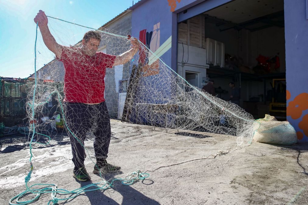 Universidade de Coimbra cria rede de pesca biodegradável para proteger oceanos