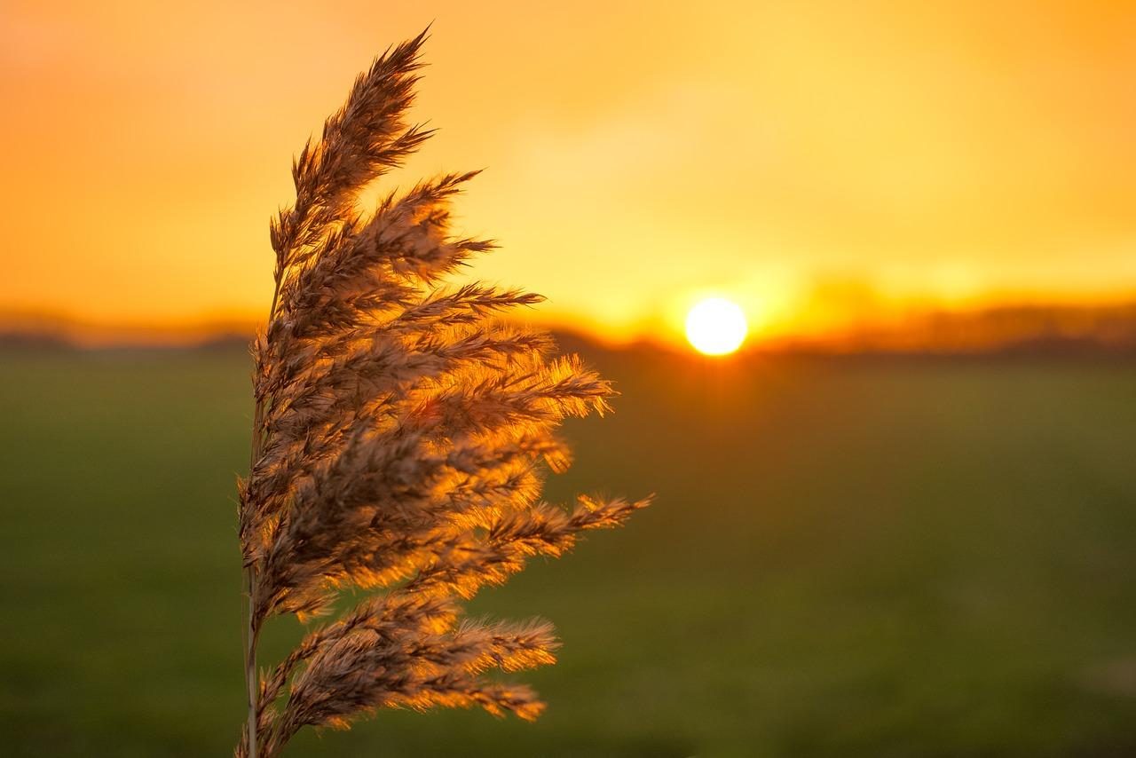 Meteorologia: Previsão do tempo para segunda-feira, 15 de novembro