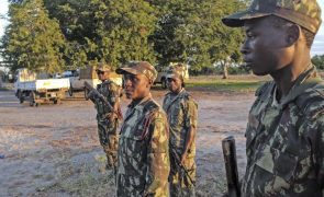 Moçambique/Ataques: Força militar conjunta abate 11 insurgentes 