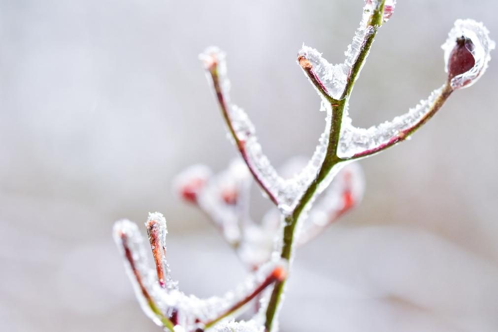 Meteorologia: Previsão do tempo para quinta-feira, 2 de dezembro