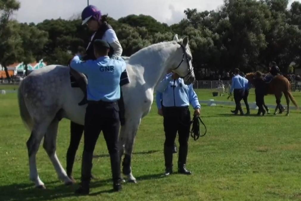 GNR promove terapia com cavalos e cães para pessoas com deficiência [vídeo]