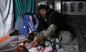Cruz vermelha apela à comunidade internacional para apoiar Afeganistão 