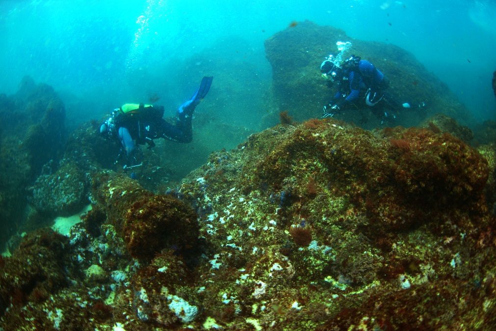 “Patrimónios Submersos de Cascais”: A exposição que não pode perder