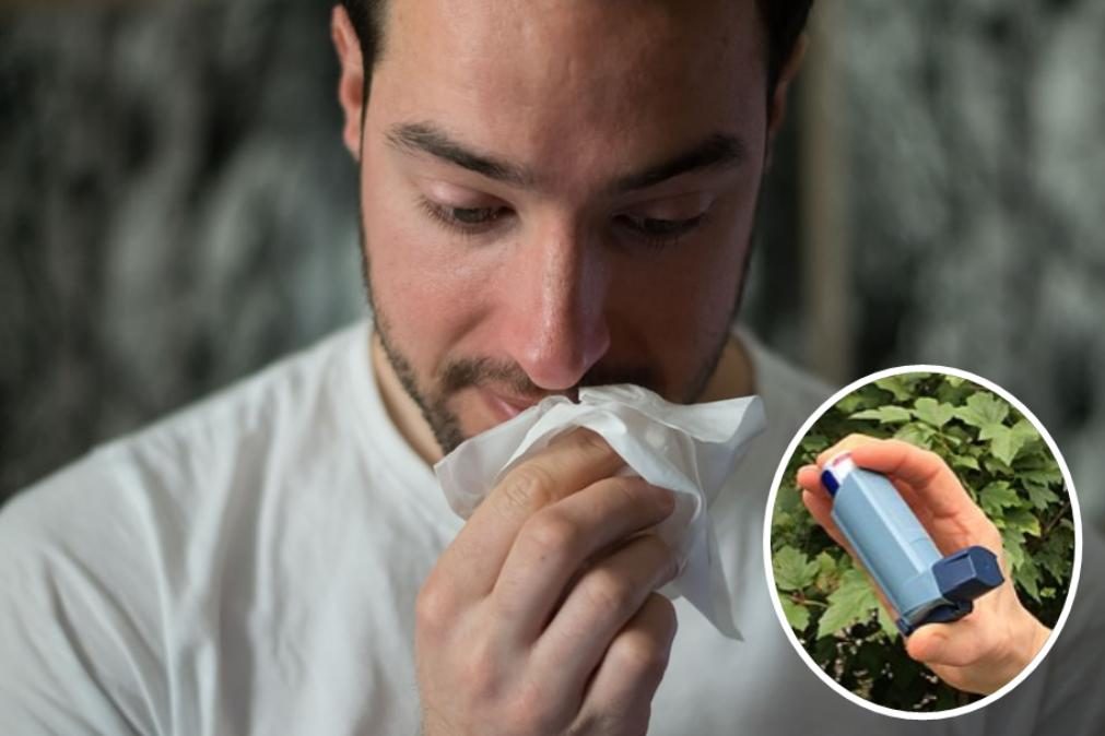 Alergias e asma podem estar ligadas a doenças cardiovasculares, alerta estudo