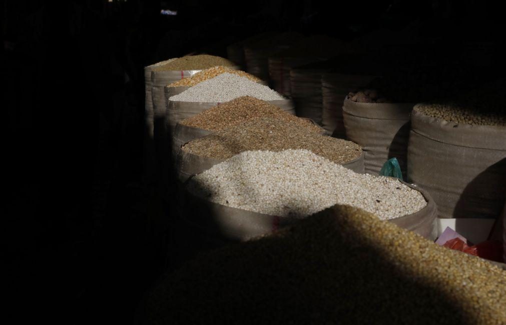 Kiev acusa Rússia de roubar centenas de milhares de toneladas de cereais