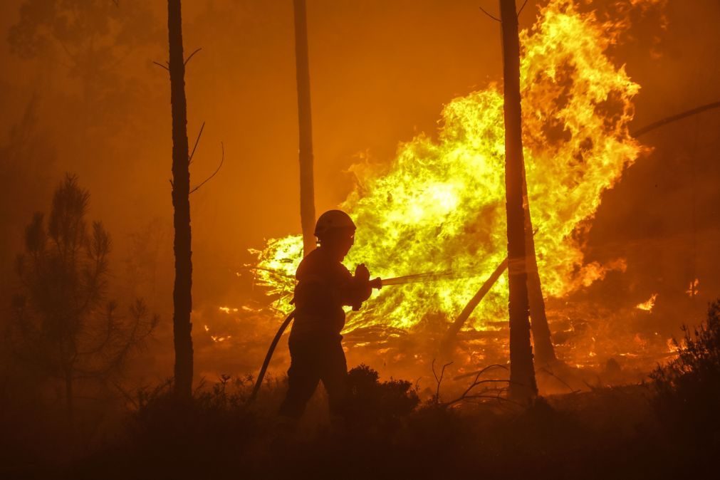 Proteção Civil diz que houve documentos apagados ou destruídos sobre Pedrógão Grande