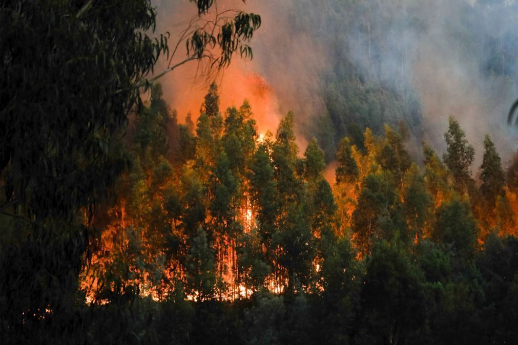 GNR detém suspeito de atear um dos grandes fogos de Oleiros