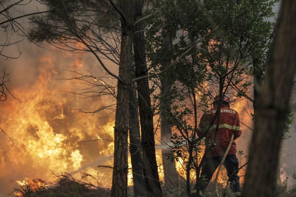 Faro chega hoje aos 33 graus e tem três concelhos em risco máximo de incêndio