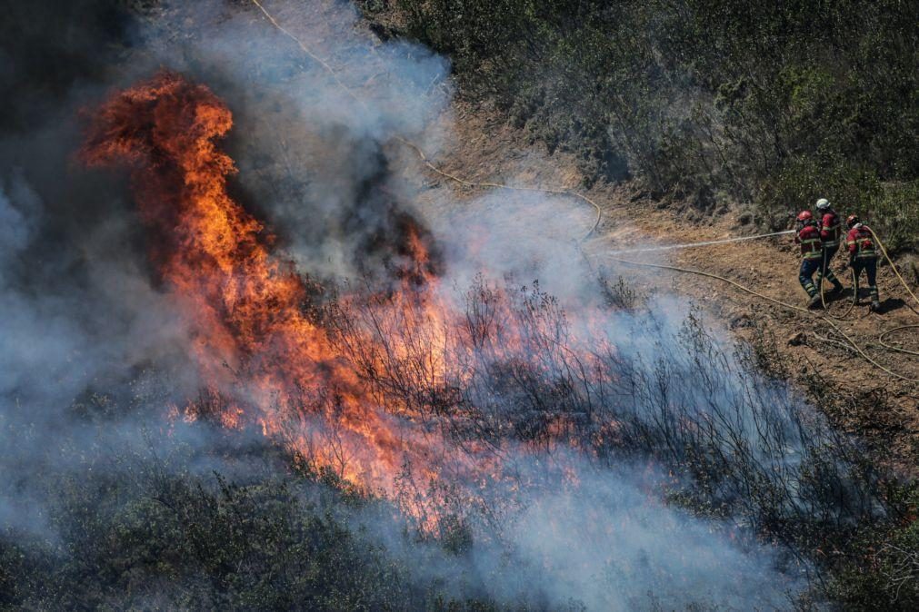 Vinte e um concelhos em risco máximo de incêndio