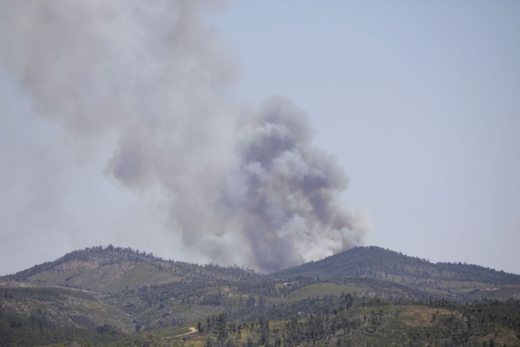 Vinte e cinco concelhos de cinco distritos em perigo máximo de incêndio