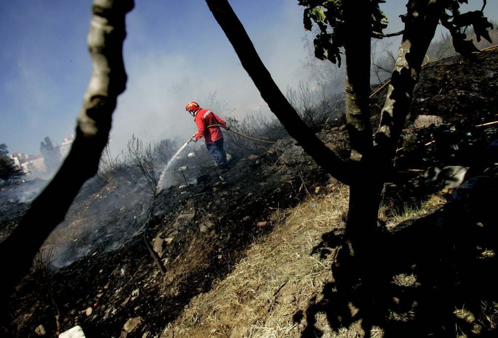 ALERTA INCÊNDIOS: Dominado fogo em Penafiel