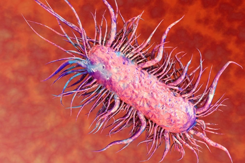 Bactéria ultra resistente está a alastrar-se e não dá sintomas