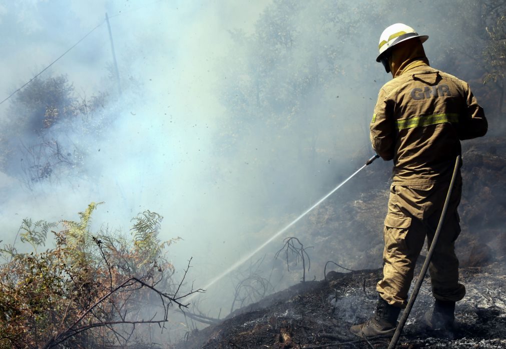 Incêndios: Extinto fogo na Covilhã