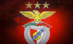 Javi García confirmado como treinador adjunto do Benfica