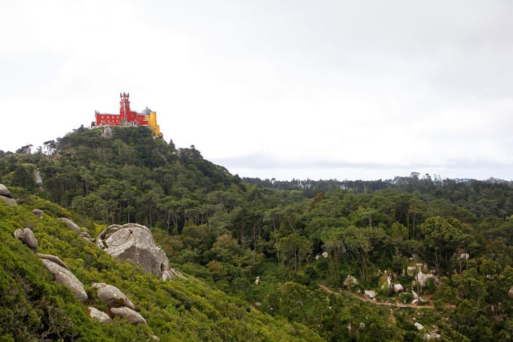 Serra de Sintra com acesso interdito ao trânsito devido ao elevado risco de incêndio